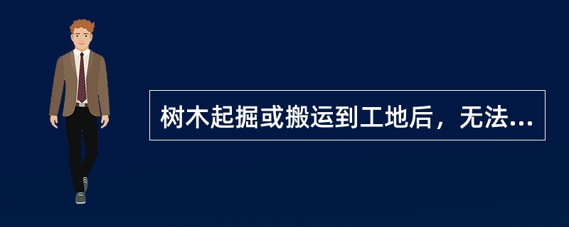 树木起掘或搬运到工地后，无法立刻种植，应采取（）措施。