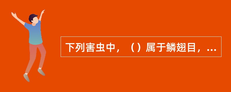 下列害虫中，（）属于鳞翅目，夜蛾科昆虫。