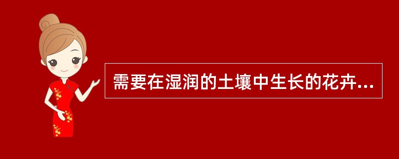 需要在湿润的土壤中生长的花卉称为（）花卉。