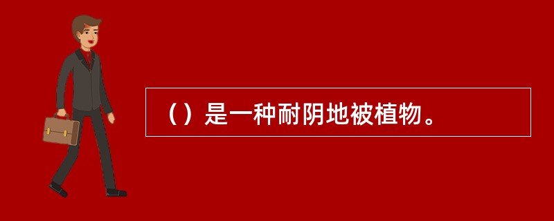 （）是一种耐阴地被植物。