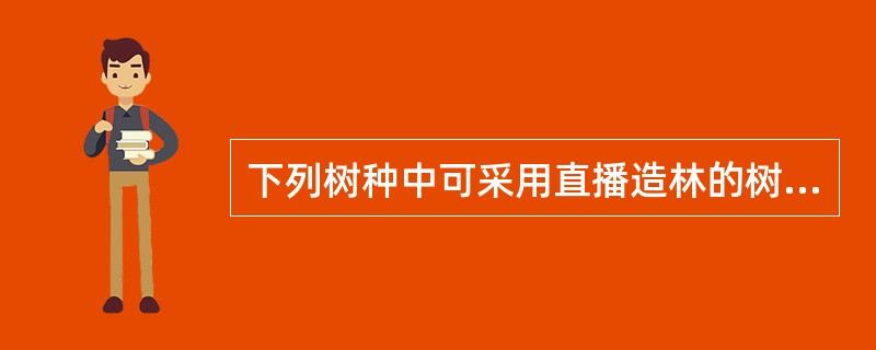 下列树种中可采用直播造林的树种是（）。