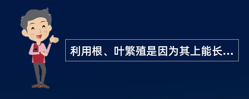 利用根、叶繁殖是因为其上能长出（）。