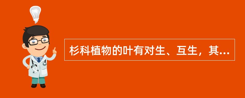 杉科植物的叶有对生、互生，其中对生的是（）。