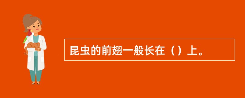 昆虫的前翅一般长在（）上。