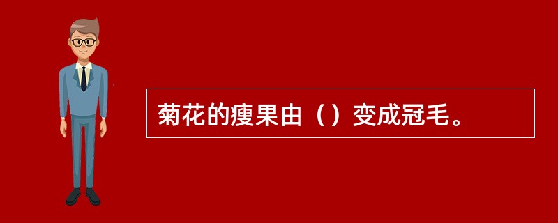 菊花的瘦果由（）变成冠毛。