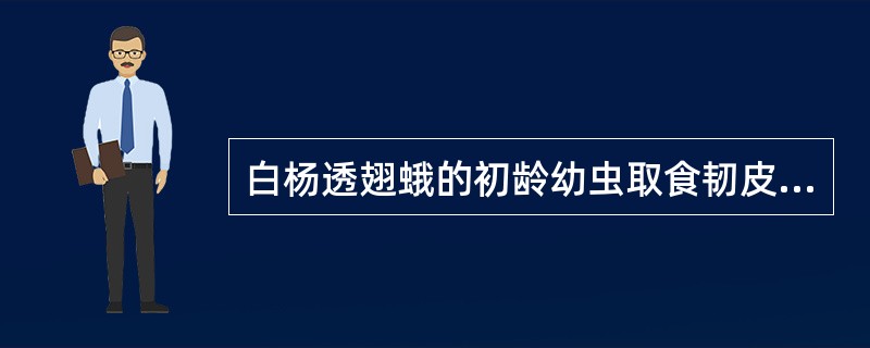 白杨透翅蛾的初龄幼虫取食韧皮部，（）后蛀入木质部为害。