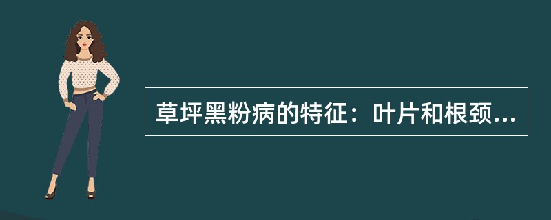 草坪黑粉病的特征：叶片和根颈部受侵染，植株矮小，叶片上产生黄绿色细长条纹，并逐渐