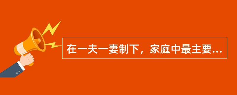 在一夫一妻制下，家庭中最主要的家庭关系有（）