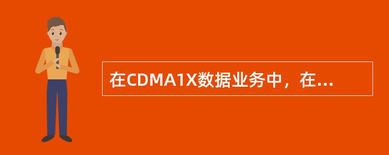 在CDMA1X数据业务中，在RC3配置下，使用CSM5000芯片，一个16倍速的