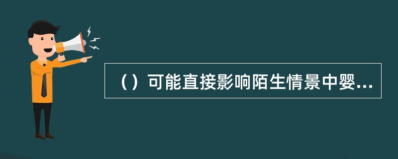 （）可能直接影响陌生情景中婴儿的行为，从而影响其依恋类型。