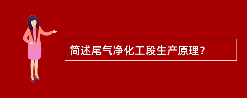 简述尾气净化工段生产原理？