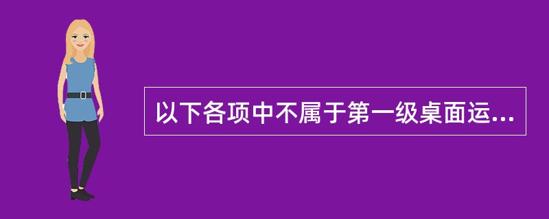 以下各项中不属于第一级桌面运维的是（）。