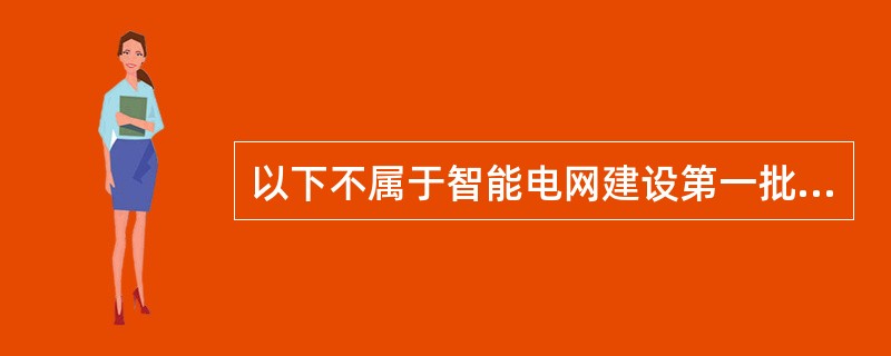 以下不属于智能电网建设第一批试点工程的是（）。