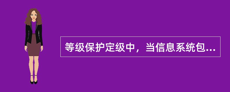 等级保护定级中，当信息系统包含多个业务子系统时，对每个业务子系统进行安全等级确定