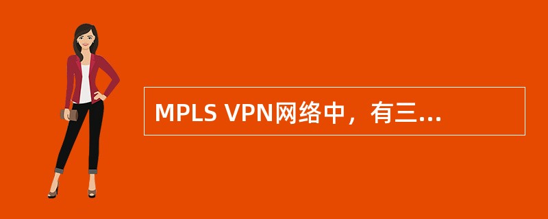 MPLS VPN网络中，有三种设备（）。