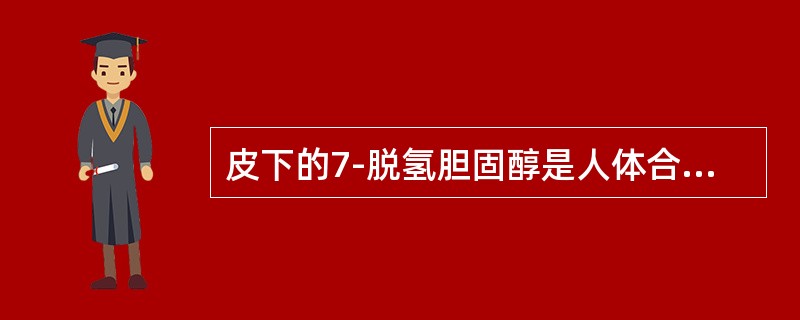 皮下的7-脱氢胆固醇是人体合成（）的前体物质。
