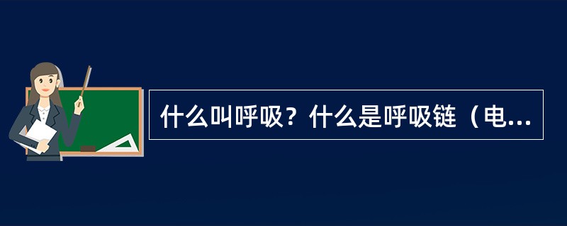 什么叫呼吸？什么是呼吸链（电子传递链）?呼吸链有哪些组分?