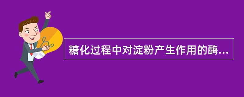 糖化过程中对淀粉产生作用的酶有（）