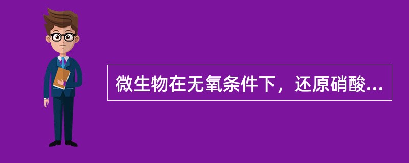 微生物在无氧条件下，还原硝酸为亚硝酸，并进一步还原生成NO、N2O，并最终形成N