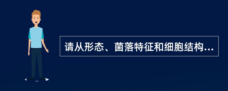 请从形态、菌落特征和细胞结构、繁殖方式分别阐述细菌、放线菌、霉菌和酵母菌的主要区