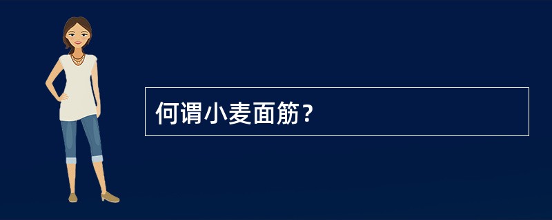 何谓小麦面筋？