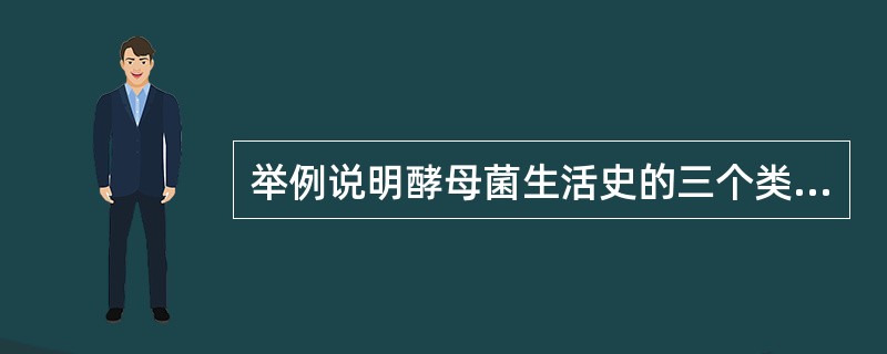 举例说明酵母菌生活史的三个类型。