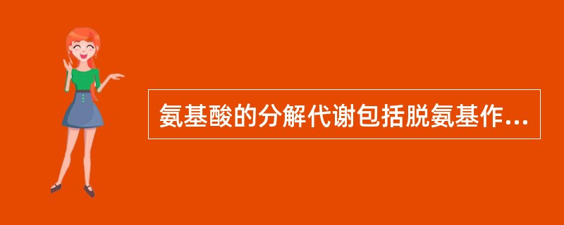 氨基酸的分解代谢包括脱氨基作用和（）作用