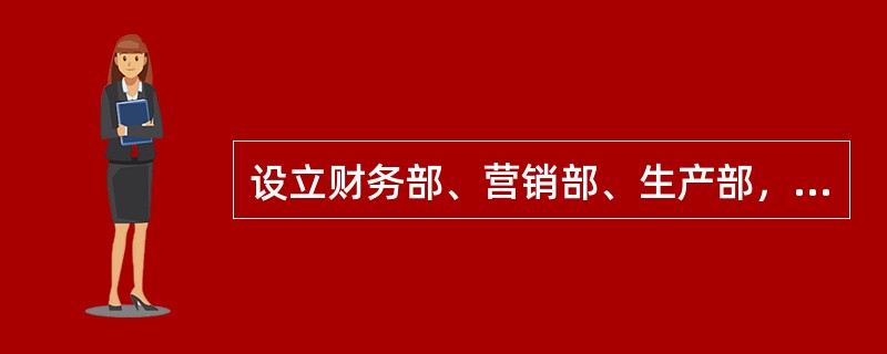 设立财务部、营销部、生产部，各部负责各自领域内的所有国内外业务属于（）。