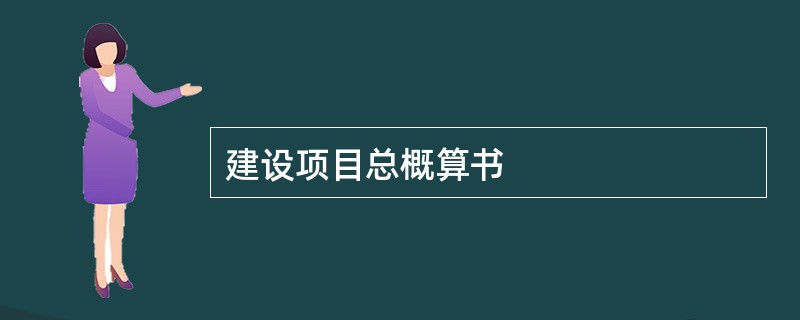 建设项目总概算书