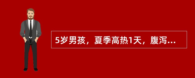 5岁男孩，夏季高热1天，腹泻6～7次，为黏液性脓血便，腹痛伴里急后重，反复惊厥，