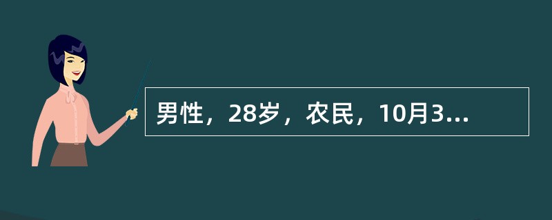 男性，28岁，农民，10月30日高热、头痛、腰痛、呕吐、腹泻，连续发热4天，鼻出