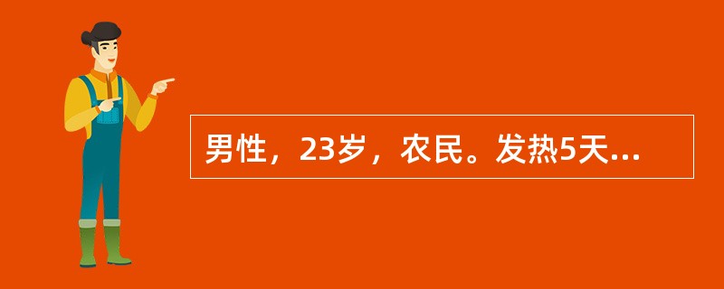 男性，23岁，农民。发热5天伴寒战，全身酸痛，恶心、呕吐，尿色红，尿量少，每天1