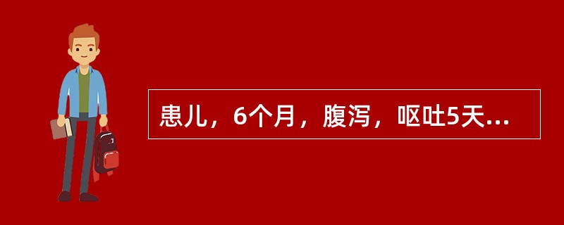 患儿，6个月，腹泻，呕吐5天，精神萎靡，前囟，眼窝凹陷，皮肤弹性极差，呼吸深快，