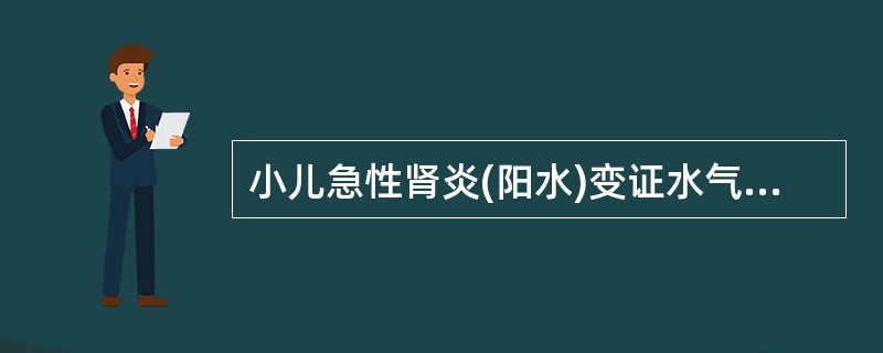 小儿急性肾炎(阳水)变证水气上凌心肺证应首选()