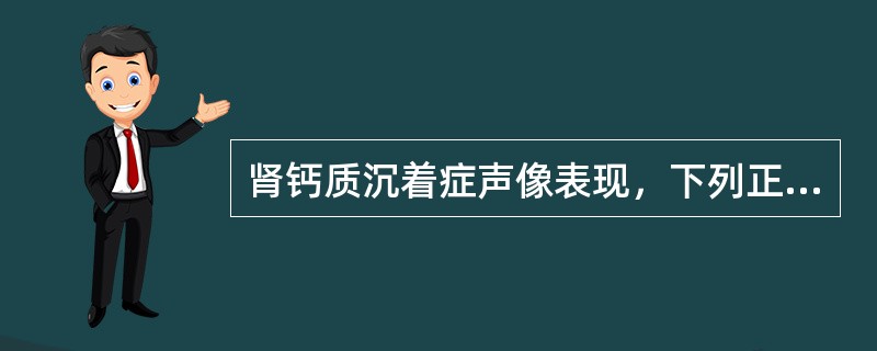 肾钙质沉着症声像表现，下列正确的为（）。