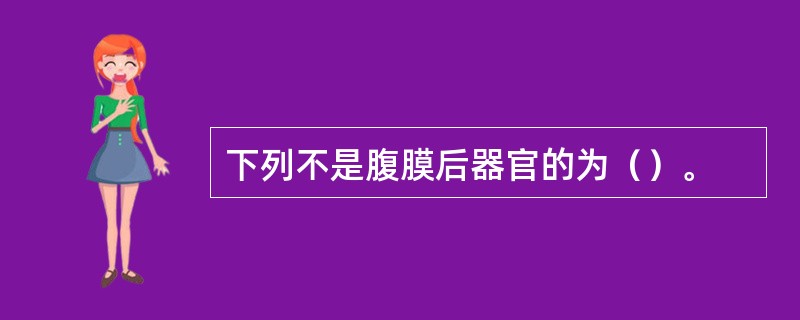下列不是腹膜后器官的为（）。