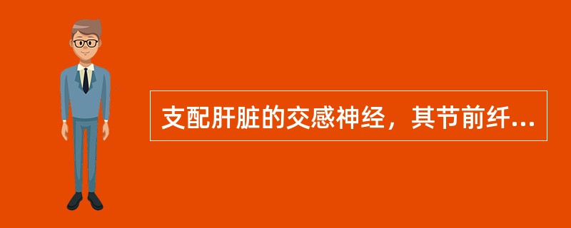 支配肝脏的交感神经，其节前纤维来源于胸7～8。