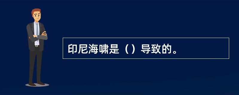 印尼海啸是（）导致的。