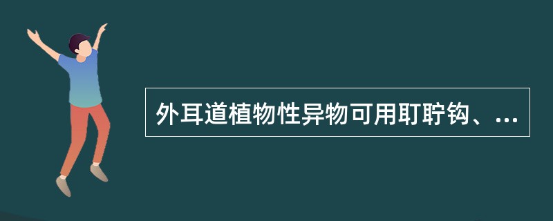 外耳道植物性异物可用耵聍钩、异物夹和各种钳夹直接夹取。