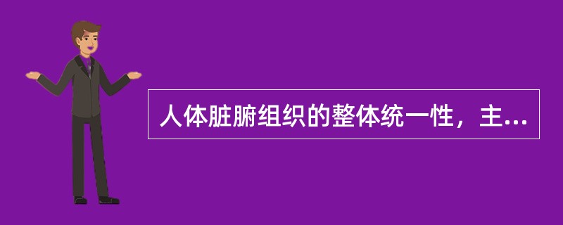 人体脏腑组织的整体统一性，主要是通过经络系统的作用来实现的。