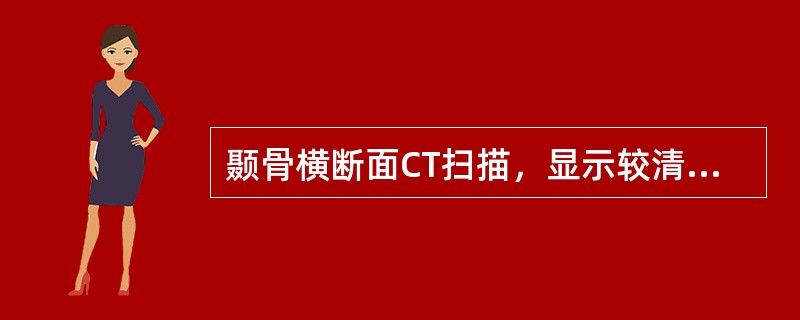 颞骨横断面CT扫描，显示较清楚的为()