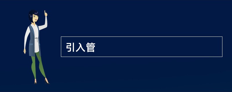 引入管