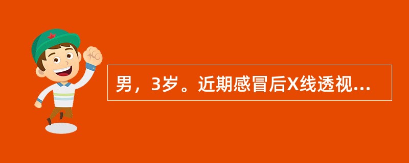 男，3岁。近期感冒后X线透视发现心脏前有一块影，平时无症状，CT示胸骨中段后方有