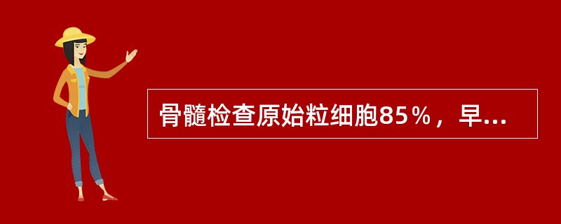 骨髓检查原始粒细胞85％，早幼粒2％，中性杆状核粒细胞3％，中性分叶核粒细胞2％