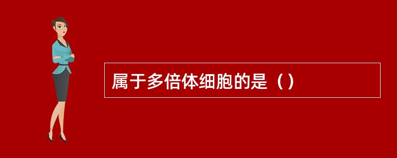 属于多倍体细胞的是（）