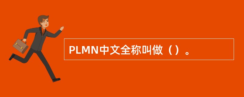 PLMN中文全称叫做（）。