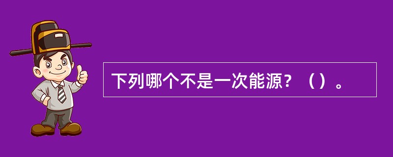 下列哪个不是一次能源？（）。