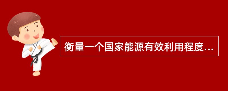 衡量一个国家能源有效利用程度的综合指数是什么？