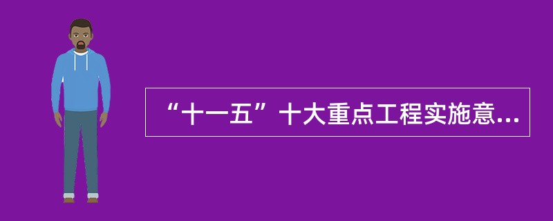 “十一五”十大重点工程实施意见的实施原则是什么？