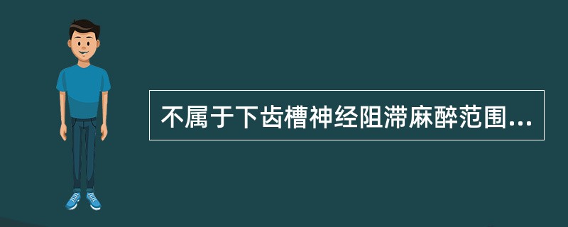 不属于下齿槽神经阻滞麻醉范围的是